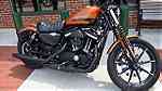Pre-Owned 2020 Harley-Davidson Sportster XL883N 883 IRON - Image 1