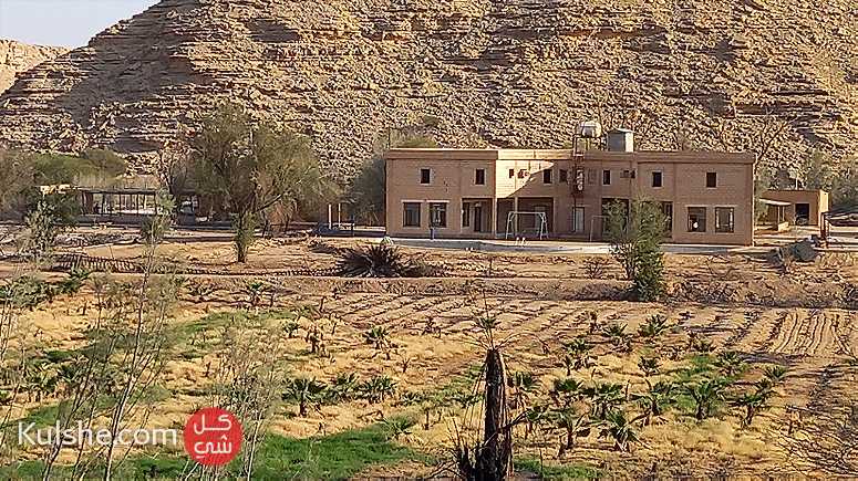 For Rent A farm in the Riyadh area - Image 1