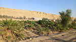 For Rent A farm in the Riyadh area - Image 2