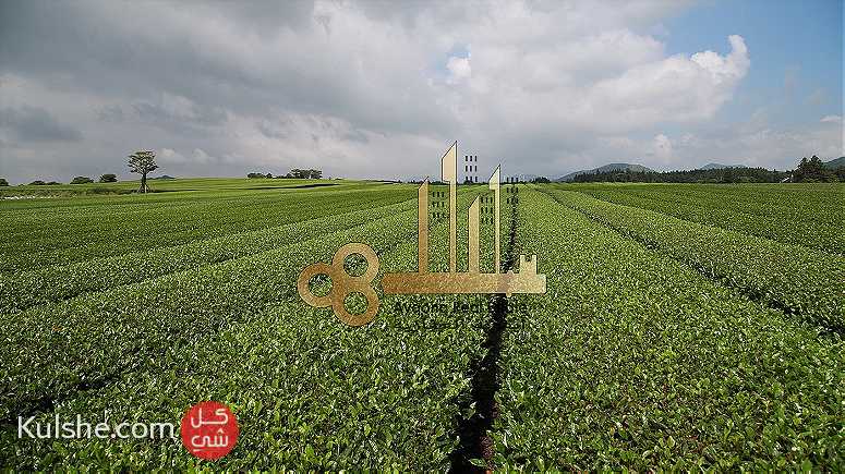 للبيع مزرعة موقع مميز في الختم أبوظبي - Image 1