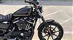 Harley davidson iron 883 available for sale - صورة 3