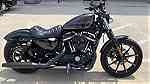 Harley davidson iron 883 available for sale - صورة 5