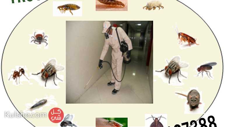 الثقة للتنظيفات العامة ومكافحة جميع انواع الحشرات0505667388 - صورة 1