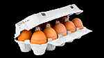 ماكينة ختم البيض للمزارع - Image 5