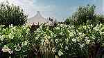 فيلا 7 غرف ماستر للعطل الخاصة بمراكش - Image 15