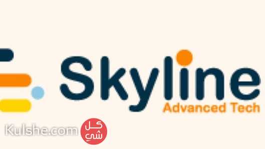Skyline Tech for IT Solutions - Image 1