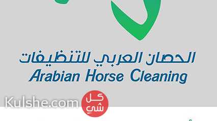 الحصان العربي ..خادمات بنظام الساعه في البحرين - صورة 1