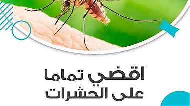 شركة نور المدينة لمكافحة الحشرات 55623690