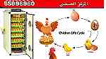بيع الات فقاسات لبيض دجاج - Image 2