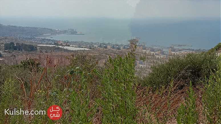 ارض مفرزة للبيع في الشوف لبنان - صورة 1
