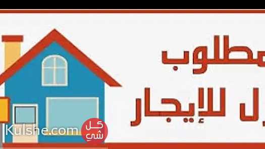 مطلوب شقة للايجار في بيروت او بعبدا - Image 1
