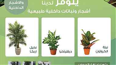 اختار النبات المفضل اليك