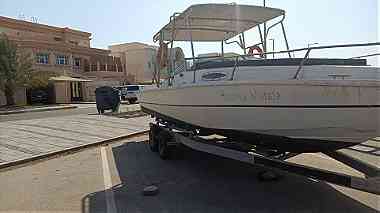 قارب للبيع في أبو ظبي