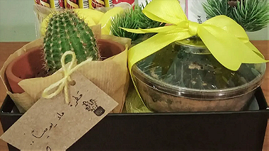 Cactus Gift Box - هدية لمحبيين نبات الصبار