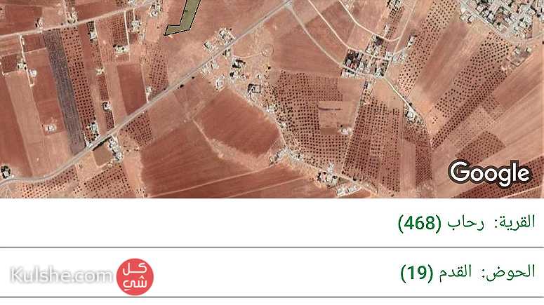 بيع وشراء  الأراضي في محافظة المفرق - صورة 1
