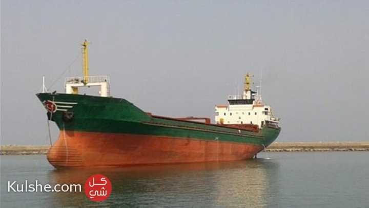 Dry cargo ship for sale - صورة 1
