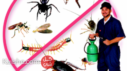 Pest control campany - صورة 1