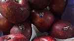 تفاح تركي اصفر و احمر للبيع جملة من تركيا التوصيل متوفر - صورة 2