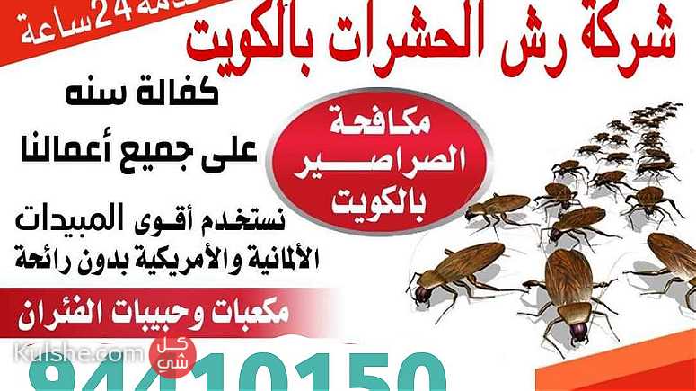 مكافحة حشرات وقوارض جميع مناطق الكويت أرخص الأسعار - صورة 1