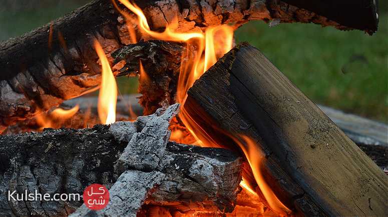 Wood for sale from Shouf - صورة 1