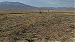 مزرعة في جمهورية أرمينيا للبيع - Image 2