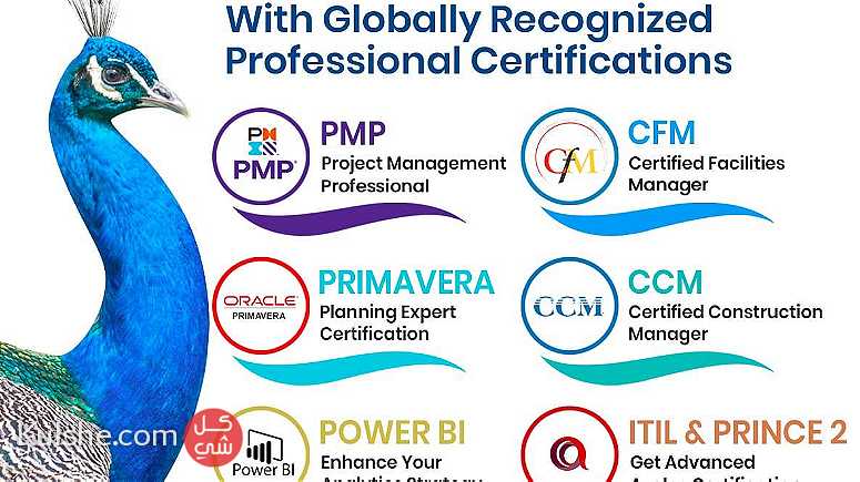 Empower your Career with Professional certifications - صورة 1