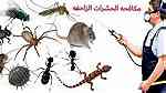 شركة الصفوة لمكافحة الحشرات - Image 2