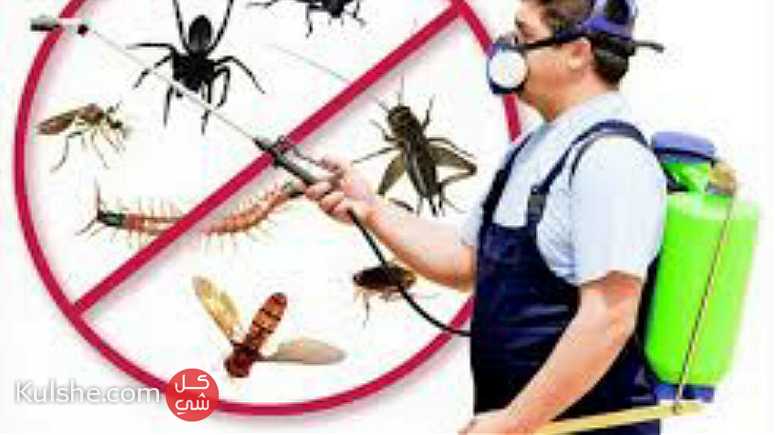 شركة الصفوة لمكافحة الحشرات - Image 1