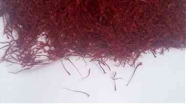 Saffron bio - زعفران الشعرة طبيعي