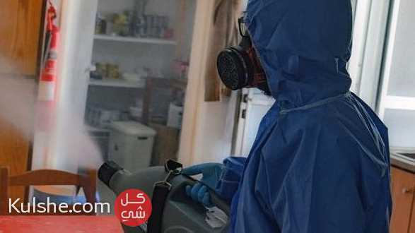 محاربة الحشرات و القوارض بالمغرب - Image 1