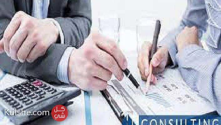 Feasibility studies and financial and administrative consulting - صورة 1