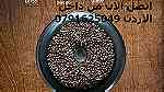 حماصة القهوة الخضراء تحميص وتحضير القهوة العربية أسهل طريقة لتحضير - صورة 3
