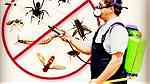 شركة الخبرة لمكافحة الحشرات - Image 3
