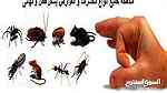 مكافحة الحشرات والقوارض - Image 2