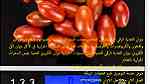 ميزان التغذية الرقمي قياس التحليل الغذائي للخضروات والفاصوليا واللحوم - صورة 5
