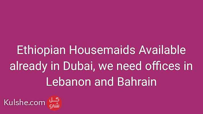 We supply Ethiopian and other African Maids to UAE - صورة 1