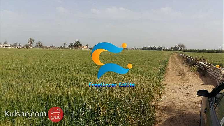 مزرعه للبيع في البحيره - Image 1