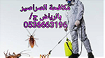 مكافحة الحشرات بالرياض رش مبيدات تعقيم منازل - Image 3
