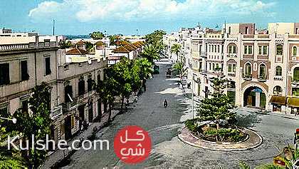 شارع جمال عبد ناصر مقابل حديقه الكشاف - Image 1