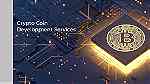 Hire the Best Crypto Coin Development Company in Dubai - Image 1