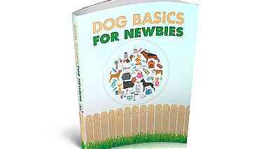 Dog Basics For Newbies