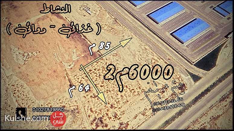 ارض صناعى للبيع برج العرب الجديدة 6000م2 - صورة 1
