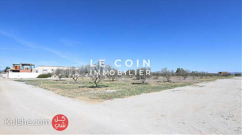 أرض ذات صبغة فلاحية للبيع بالحمامات الجنوبية تونس - صورة 1
