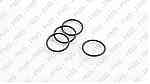 ZF O-Ring Types Oem Parts - Image 4
