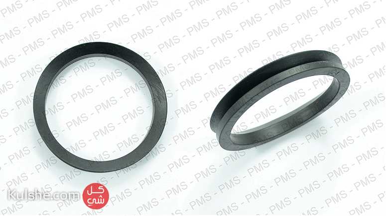 DANA Ring Types Oem Parts - Image 1