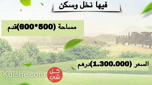 للبيع مزرعه منطقة الختم قريبة من الشعبية وقريبة من الرمله - Image 1