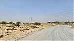 أراضي سكنية للبيع في منطقة الحليو 2 بإمارة عجمان مشروع الحليو - Image 5