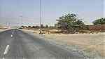 فرصة استثمارية- أراضي سكنية للبيع في منطقة الحليو 2 بإمارة عجمان - Image 4