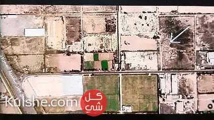 أرض استثمارية في منطقة النهضة الصناعية بالعامرية بمساحة 38000 متر مربع - Image 1
