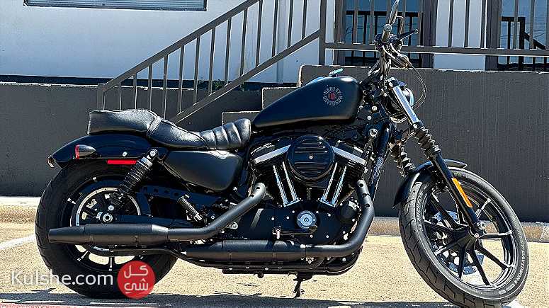 2020 Harley-Davidson Sportster 883 Iron - Image 1